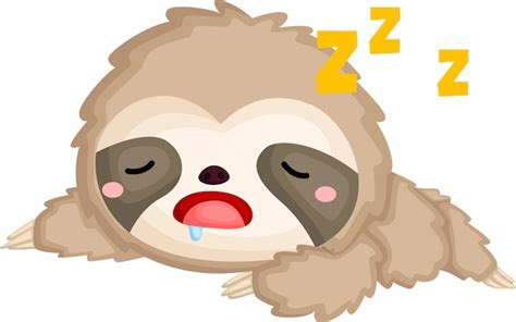 Free Vector A Of A Cute Sleeping Sloth