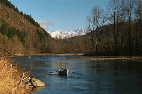 Skagit River Fishing Report Skagit River Fishing Guides Guide Services
