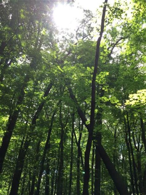 Feel the exhilaration of whitewater rafting in the adirondacks , hike the natural landscape, peaceful forests, and mountain scenery of the catskills , or tour one of our picturesque villages or palatial homes. Mills Norrie State Park (Staatsburg, NY): Top Tips Before ...