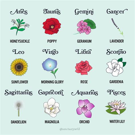 Flowers For Spring Zodiac Signs Funny Zodiac Signs Scorpio Zodiac Signs
