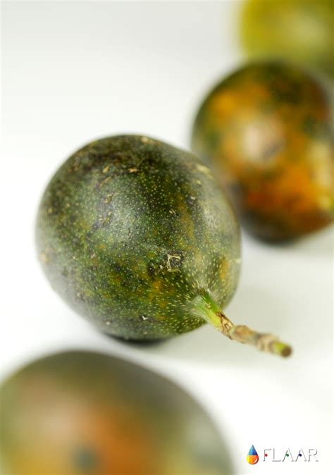 See 3 authoritative translations of la granadilla in english with example sentences and audio pronunciations. Photo Gallery of Granadilla