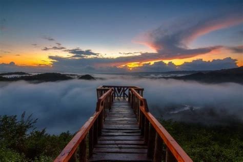Sekian threadku tentang bukit panguk kediwung. Wisata Alam Jogja di atas awan : Keindahan Bukit Panguk ...