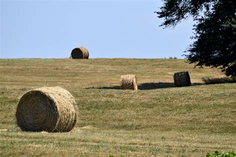 Bales Of Hay Free Stock Photo Public Domain Pictures