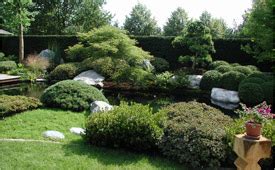 Bewässerung garten kann bezüglich preis und qualität verschieden ausfallen. Bewässerung für Garten & Terrasse