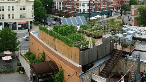 Rooftop Farming Is Getting Off The Ground The Salt Npr