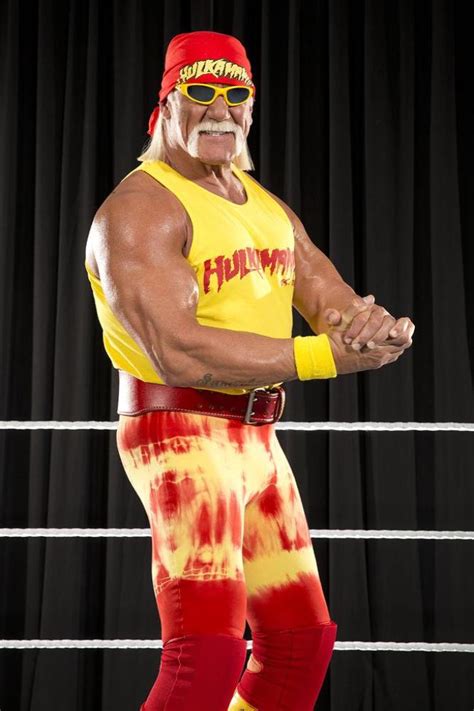 Пика популярности достиг в середине. Hulk Hogan Made Peace With Ultimate Warrior