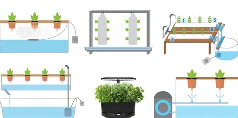 Best Hydroponic Systems Of 2020 Herb Examiner