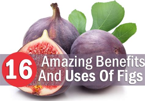 Fruit trees are just one more way to add to a stockpile. 16 Amazing Benefits And Uses Of Figs