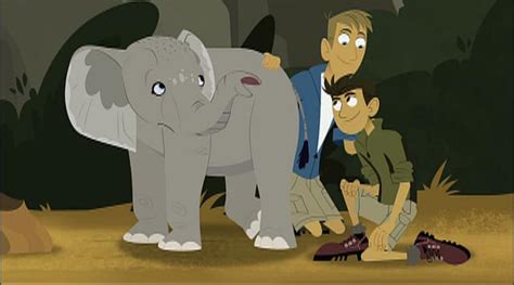 Wild Kratts - S1E17 - Elephant In The Room | Knowledge Kids