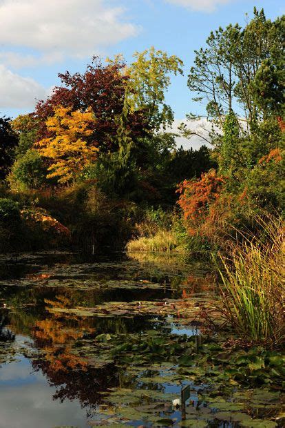 Autumn Colours Leaves Across Britain Begin To Turn Orange And Red