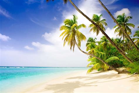 Relax in Caribbean Paradise - Your World