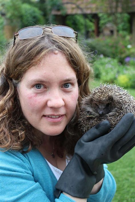 York Sanctuarys Plea To Help Hedgehogs Emerging Early From Hibernation
