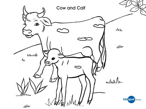 Cow Coloring Page Coloring Home