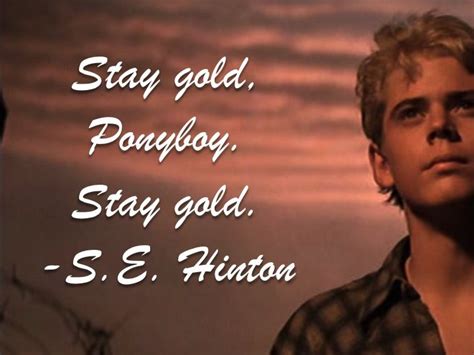 In my essay, i explore the quote, stay gold and it's meaning. Stay Gold Quotes. QuotesGram