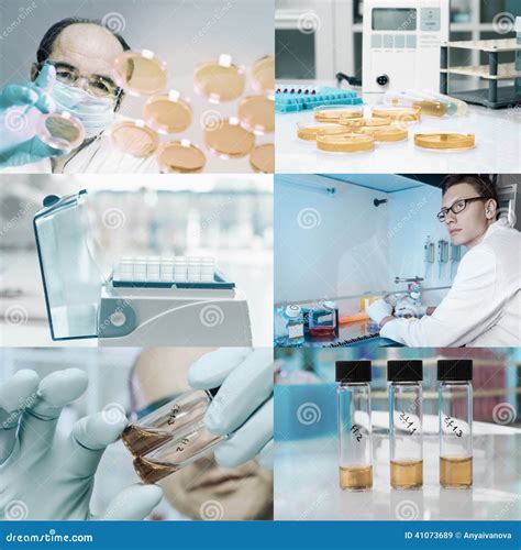 Microbiologists Work In Modern Laboratory Stock Image Image Of Cells