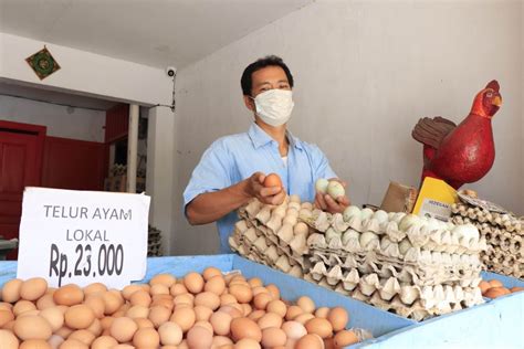 Dari hasil sebuah penelitian mengungkapkan. FOTO - Pedagang Telur Ayam Kian Merugi - TopBusiness