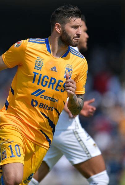 Andr Pierre Gignac Paraliza A Piojo Herrera Y Tigres Uanl Al Expresar