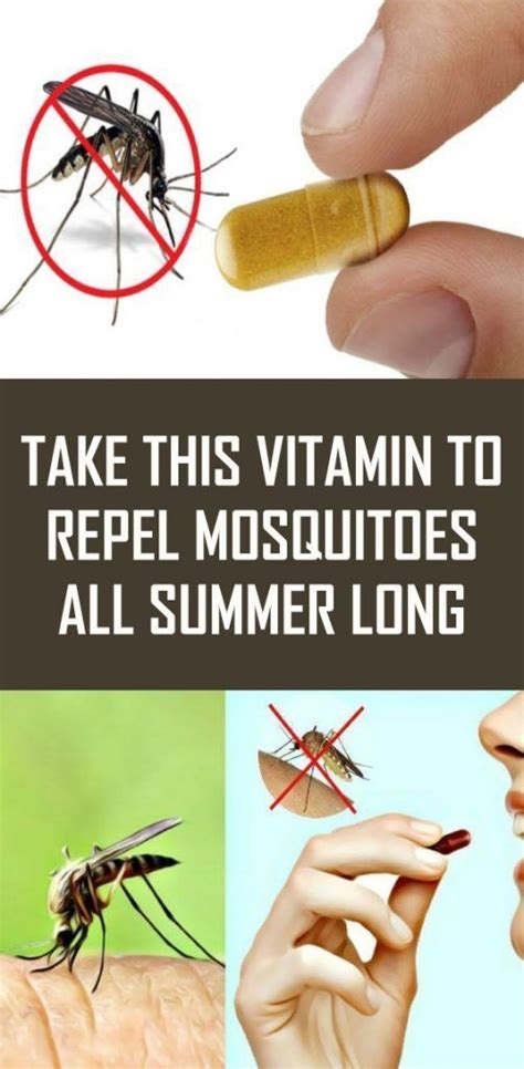 Take This Vitamin To Repel Mosquitoes All Summer Long Mosquito