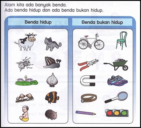 Contoh Benda Hidup Yang Ada Di Sekitar Kita Kamu Sudah Tahu Semua