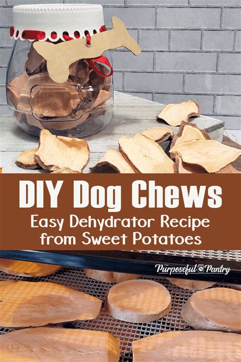 Easy Diy Dog Chews From Dehydrated Sweet Potatoes Dog Treats Homemade