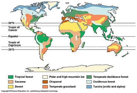 A tropical rainforest climate or equatorial climate is a tropical climate usually found within 10 to 15 degrees latitude of the equator, and has at least 60 millimetres (2.4 in). Revision - Topic 2.4: Biomes | Yesitsyomoma's Blog