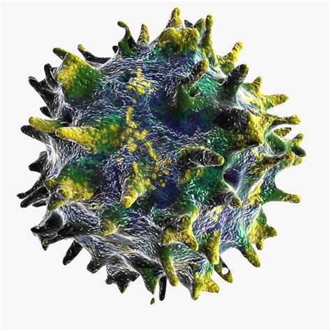 Die mücken bekommen das virus, wenn sie einen infizierten vogel beißen. west nile virus 3D Models - CGTrader.com