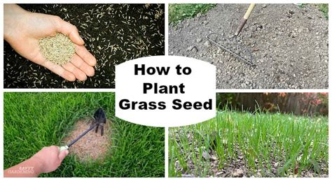 How Do I Prepare My Lawn For Grass Seed