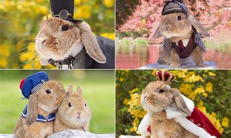 Mumitan Shows Off Her Famous Bunny Puipui On Instagram Daily Mail Online