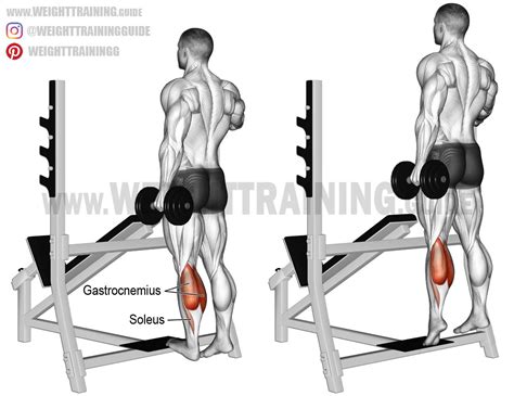 Standing Dumbbell One Leg Calf Raise Exercise Instructions And Video