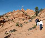 Zion National Park Rv Reservations Images