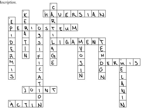 These advanced anatomy crosswords make wonderful vocabulary reviews for students. Chapter 36: Skeletal, Muscular, and Integumentary Systems ...