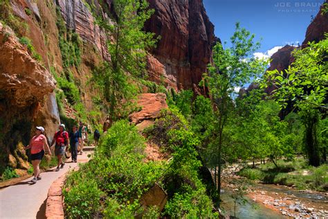Riverside Walk Hiking Guide Joes Guide To Zion National Park This