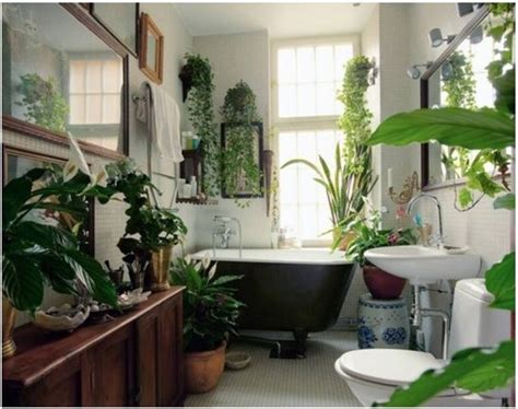 Learn About The Most Common House Plants
