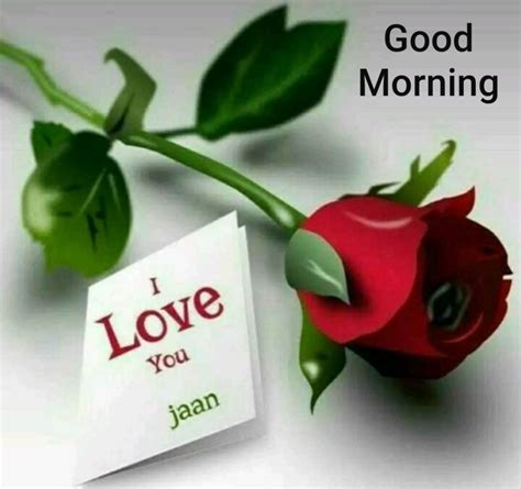 Love good morning images this app consists of beautiful collections of good morning love images with nice background. 43 Good Morning Love Images For Girlfriend , Boyfriend In ...