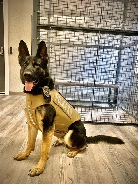 Rehoboth Police K 9 Has Received Donation Of Body Armor Rehoboth