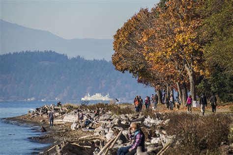 Great Walks To Take Around Seattle