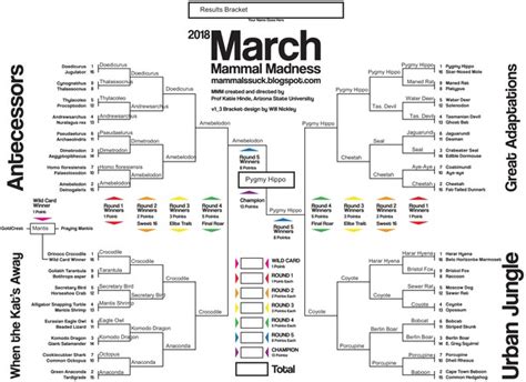 Education And Outreach March Mammal Madness And The Power Of Narrative