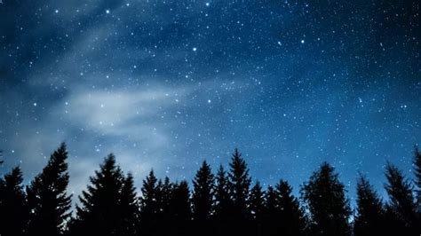 Timelapse Of Stars Moving In Night Sky Over Pine Trees Pine Tree