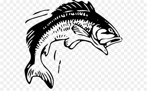 Bass Clipart Black And White 20 Free Cliparts Download
