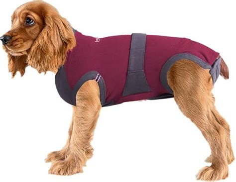Maxx Dog Surgical Recovery Suit E Collar Alternative Post Operative