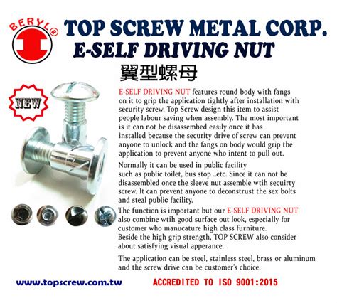 Security System E Self Driving Nut Sex Bolts Top Screw Metal Corp