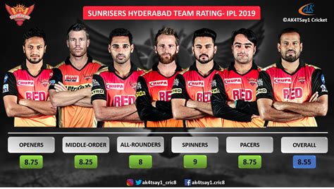 Ipl 2019 Sunrisers Hyderabad Team Rating By Ak4tsay1 Cricket
