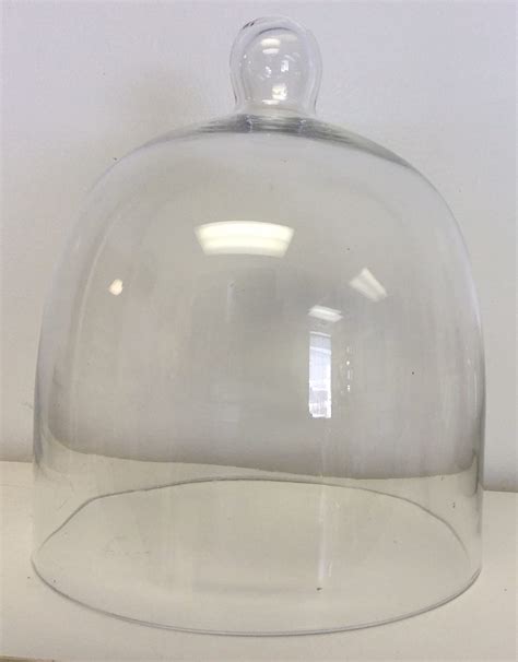 Glass Bell Dome Jar 8 X 95 Outside Dim Includes Handle Amazon