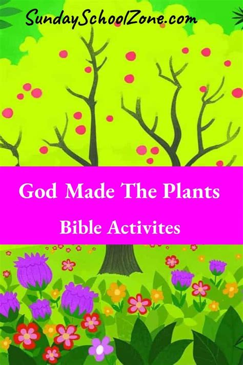 Free God Made The Plants Bible Activities On Sunday School Zone