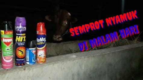 Akan tetapi, secara umum budidaya sapi limosin di indonesia masih minim. Denah Kandang Sapi Limosin / 24 Desain Konstruksi Kandang ...