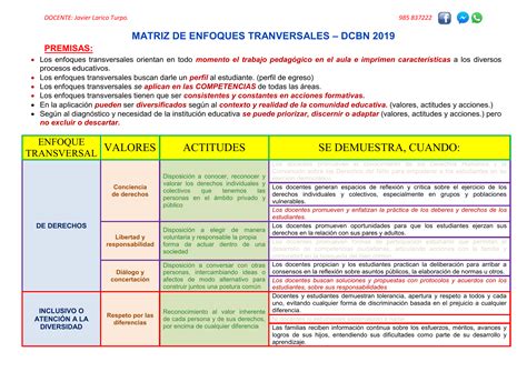 Matriz De Enfoques Y Competencias Transversales I Materiales Did Cticos