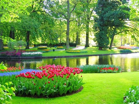 Keukenhof Gardens In The Netherlands 2014 Keukenhof Tulip Garden