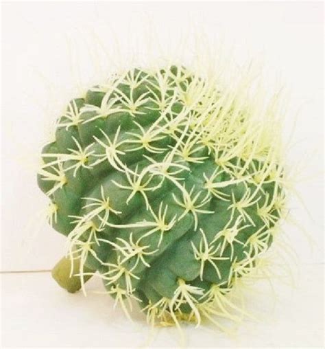 These plants are much easier to care of. Artificial Cactus, 10 Large Barrel Cactus, Realistic ...