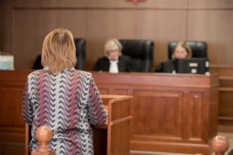 The Effective Pro Se Litigant - Ingredients and a Recipe - Courtroom5