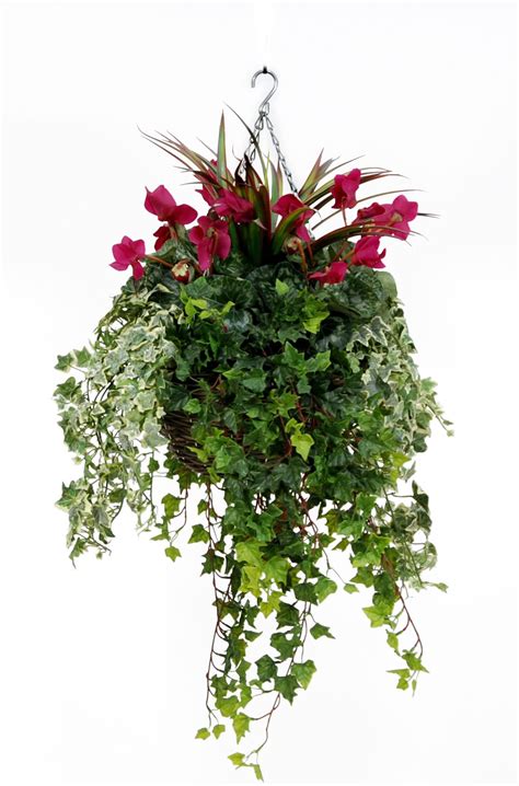 Check out our artificial flower hanging basket selection for the very best in unique or custom, handmade pieces from our shops. Artificial Plastic Cyclamen Large Hanging Basket :: Just ...